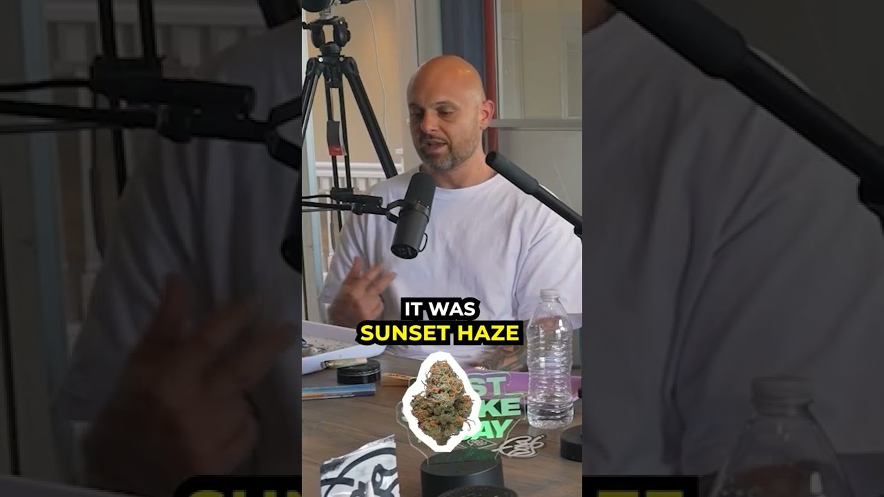 The haze comment #fsotd #dojapak #dojagang #patreon