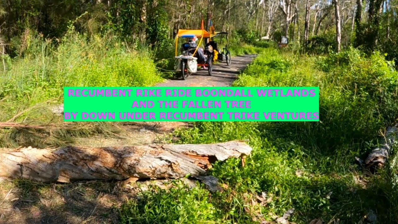 RECUMBENT TRIKE RIDE BOONDALL WETLANDS AND THE FALLEN TREE