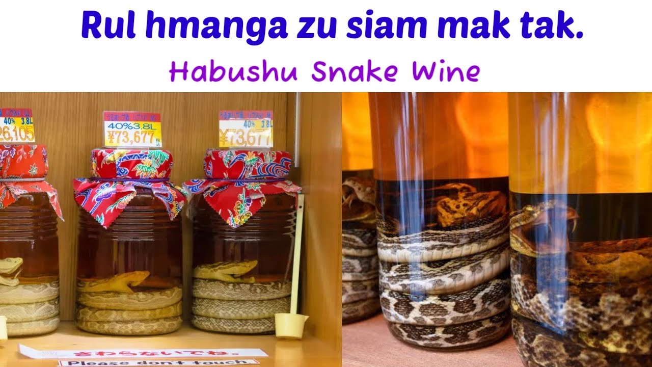 Khawvela zu siam dan maksak ber..(Habushu wine)