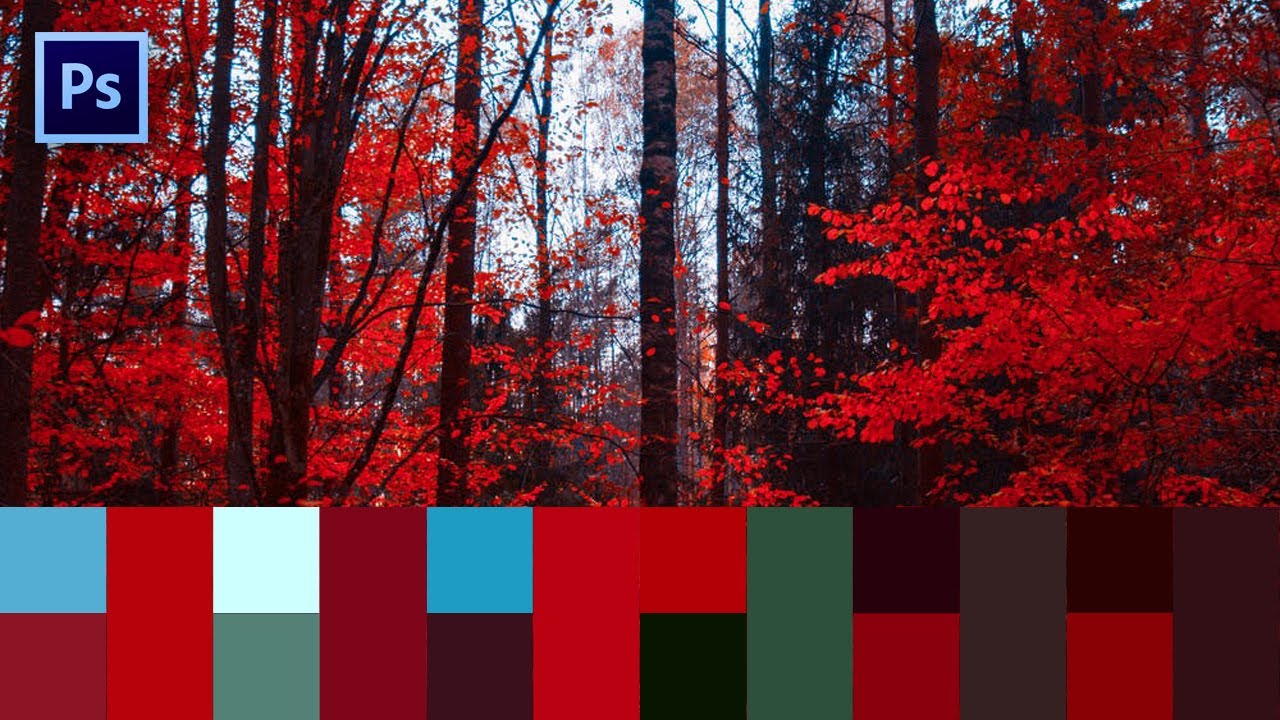 How to Create Color Palette from Image in Photoshop - Photoshop Tutorial