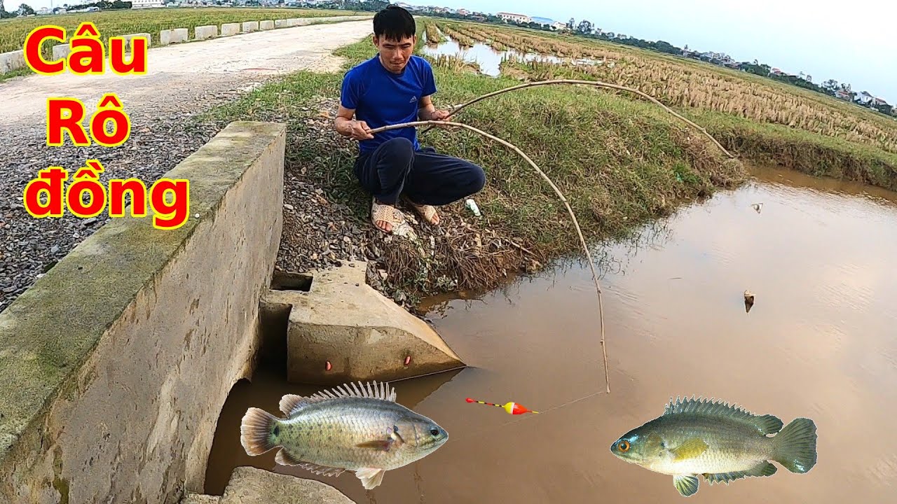 Câu Rô đồng ở Cửa Cống huyền thoại, dính toàn Hàng Khủng