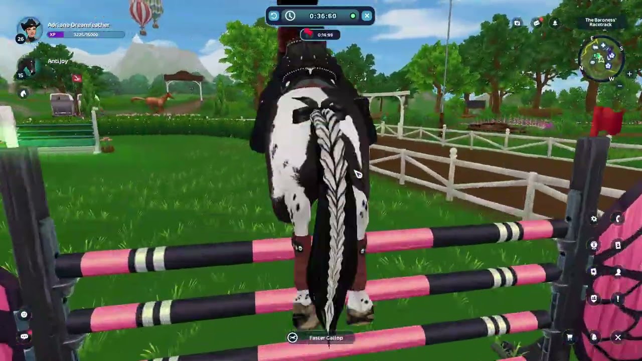 Training series 2.1 all horses