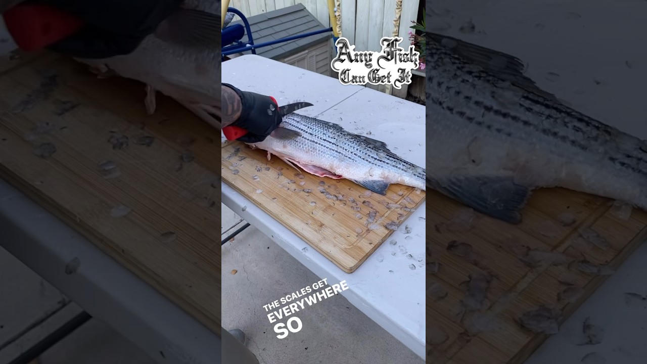 Grilled Striped Bass 🔥 