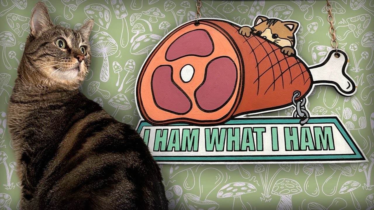 Cat Climbing Wall: Penny the cat edition!