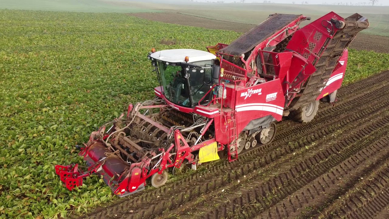 Kopanie burak&oacute;w & Uprawa 2021. Grimme Maxtron & Case Magnum w Polu!!