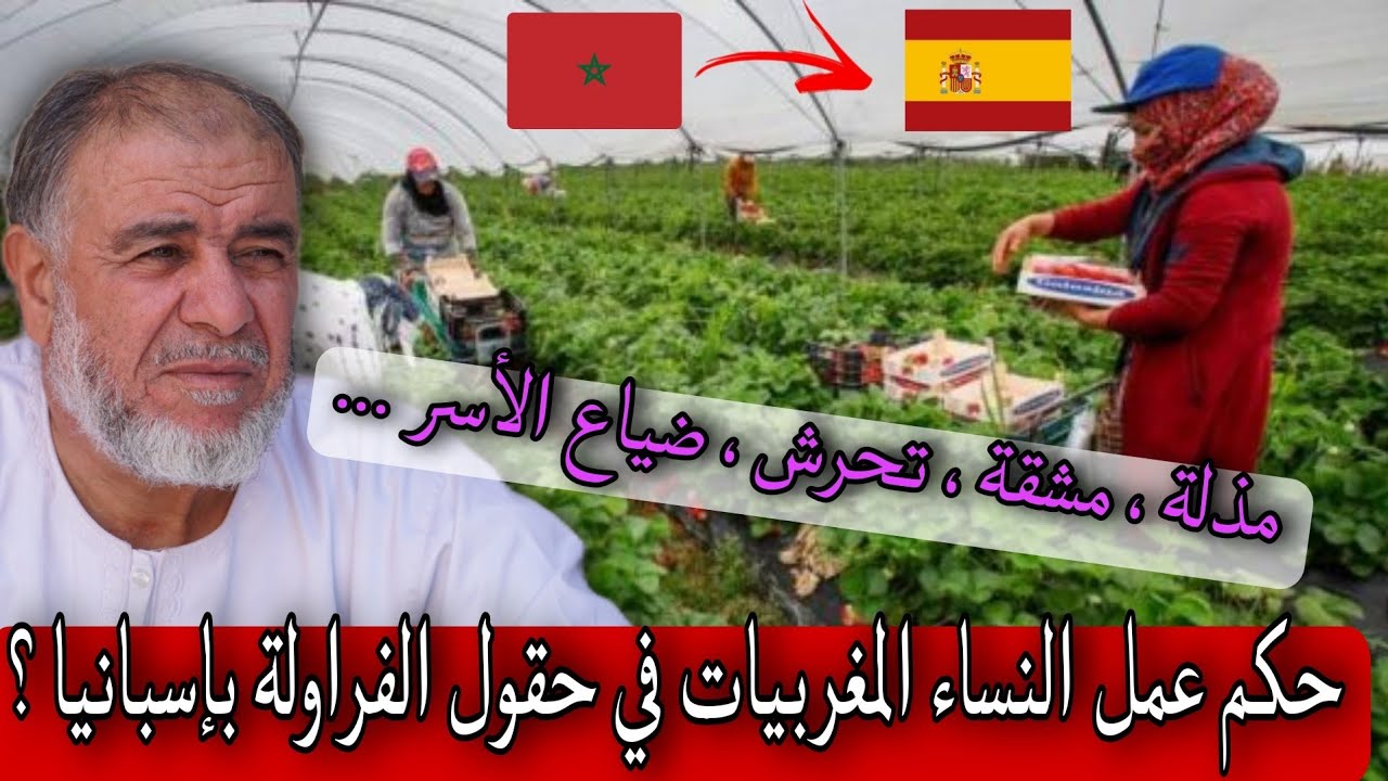 الشيخ عبد الله نهاري: هل يجوز للنساء المغربيات الذهاب إلى إسبانيا للعمل في حقول الفراولة ؟