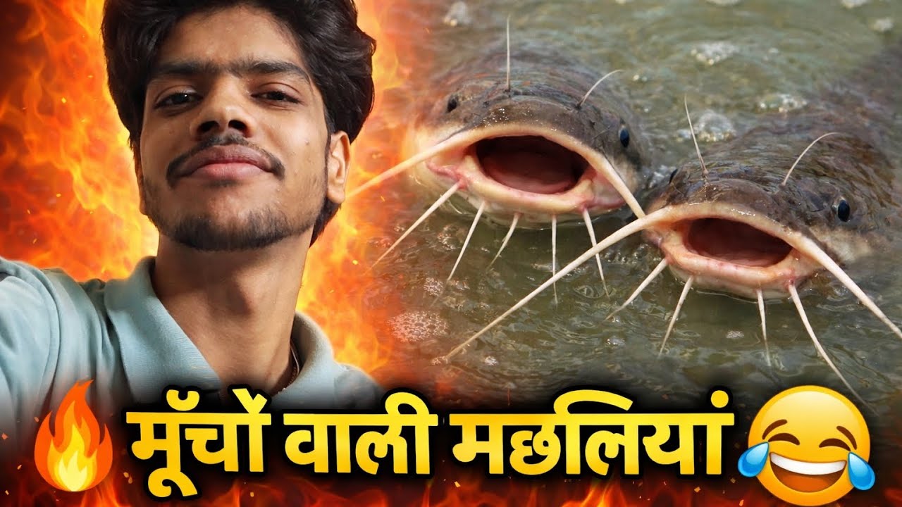 मूंछों वाली मछलियां 😁