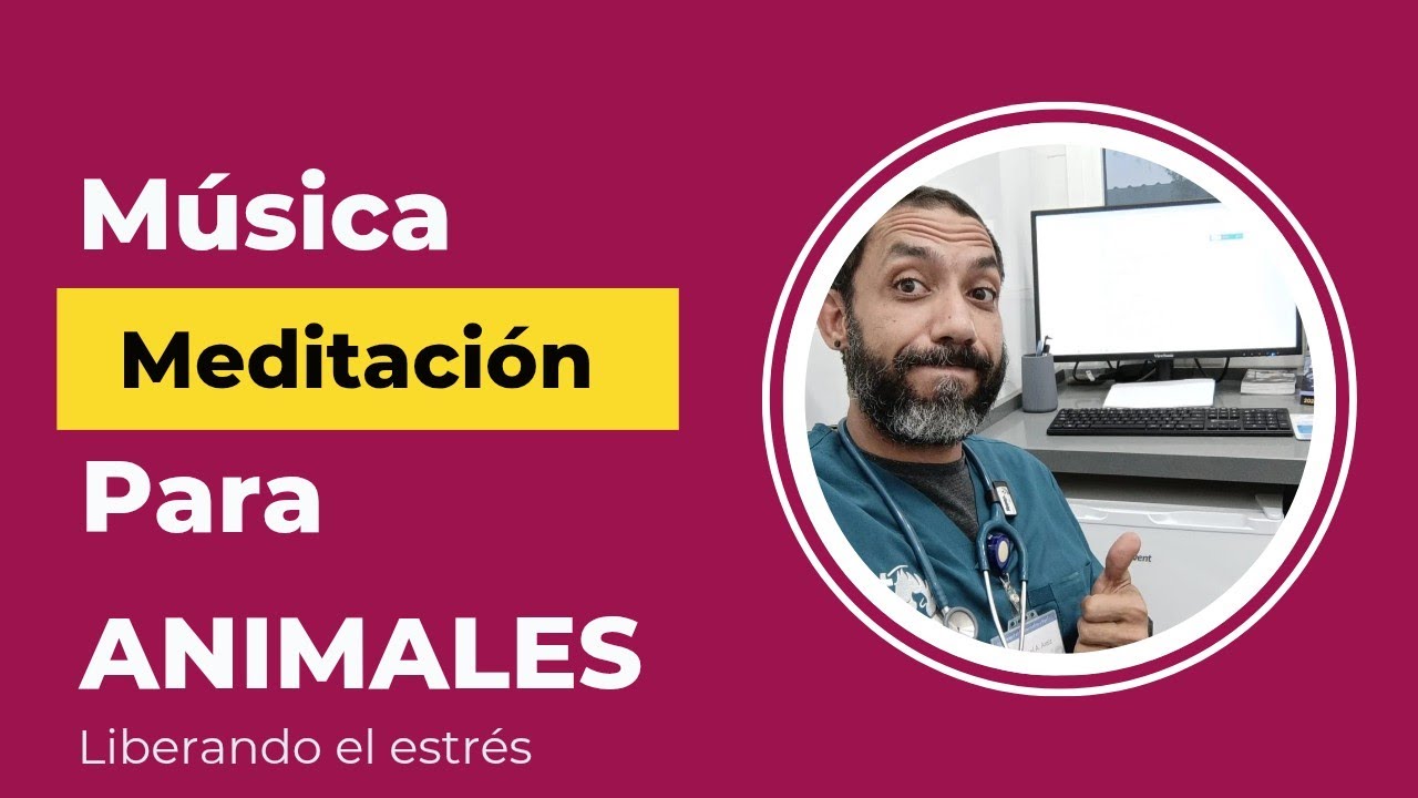 Música para liberar el estrés, dormir, meditar y para animales