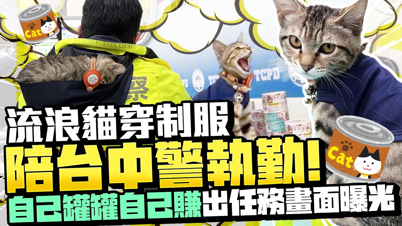 流浪貓穿制服陪台中警執勤！　「自己罐罐自己賺」出任務畫面曝光 @ChinaTimes