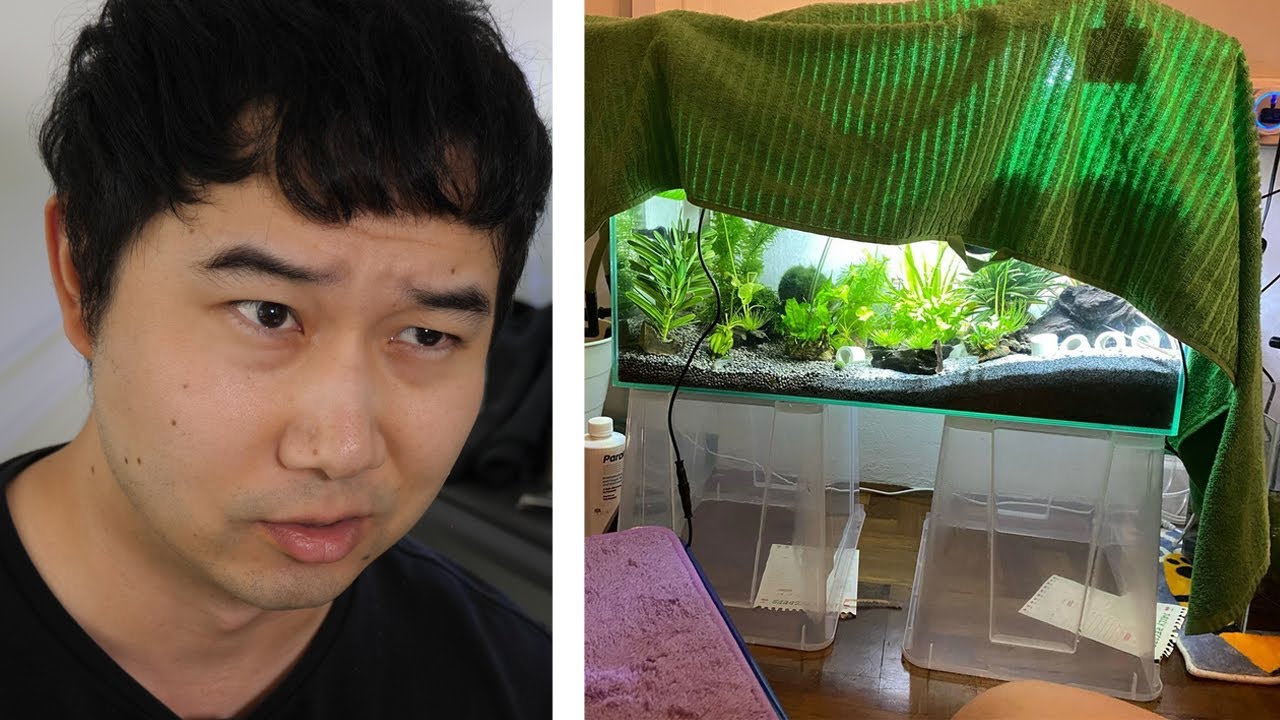 I found the MOST STRESSFUL Fish Tank Subreddit | Fish Tank Review 325