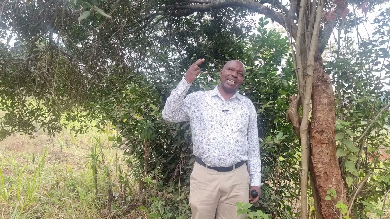 No ũhikie mũndũ wĩna mwana ũmũraacĩrie no ciana ikũrege. Twĩke atĩa.