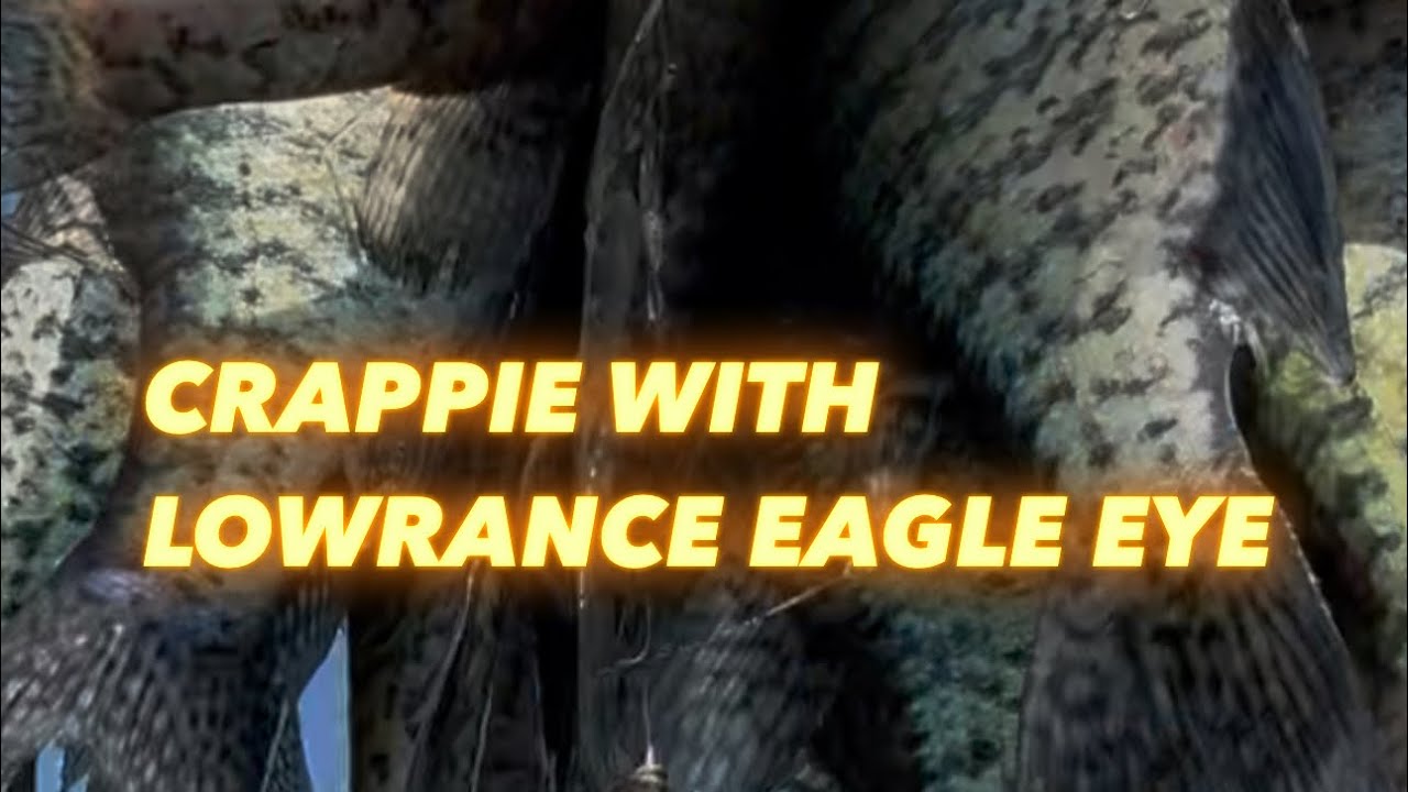 Eagle Eye 9 from Lowrance and how to use it
