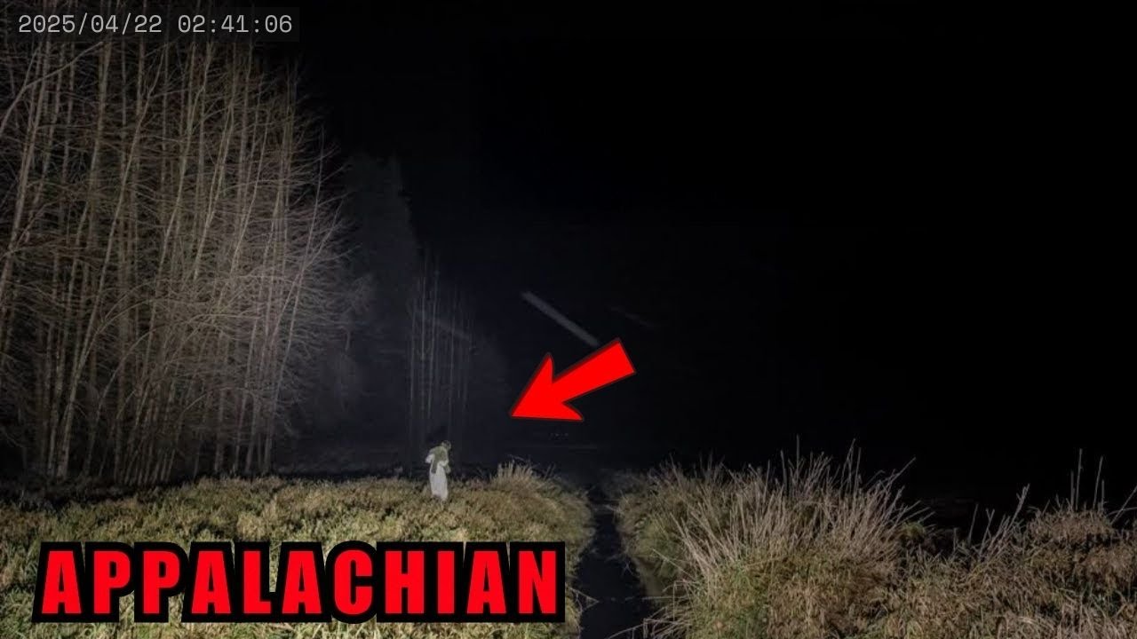 2 Hours of Most Shocking Camping Encounters Ever Caught on Camera