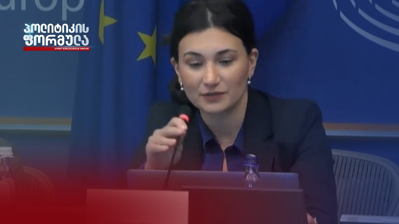 ინტერვიუ ევროპული პოლიტიკის კვლევითი ცენტრის (CEPS) მკვლევარ თინათინ ახვლედიანთან