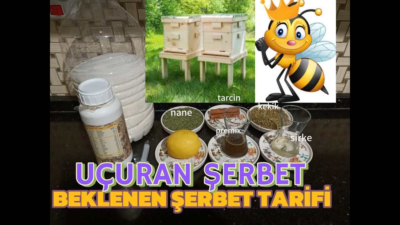 UÇURAN ŞERBET (BAHAR VE BÖLME DÖNEMİ )ERCAN ÖZVATAN