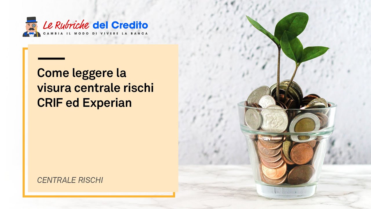 Come leggere la visura centrale rischi CRIF ed Experian