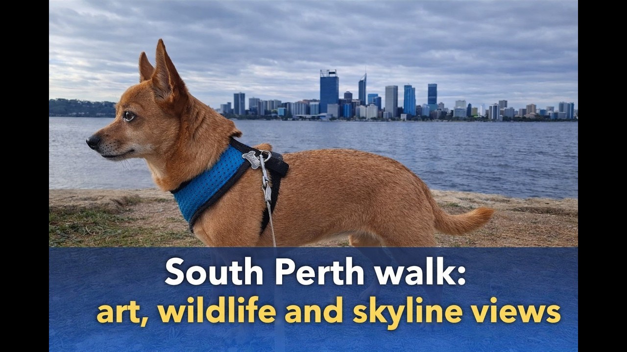 South Perth walk: art, wildlife and skyline views with Chiqui