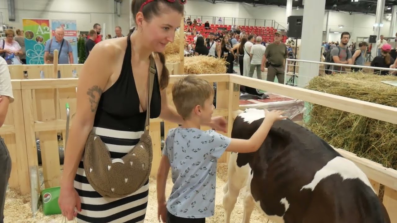 OMÉK2025 / LIMOUSIN ÉS BLONDE D'AQUITAINE