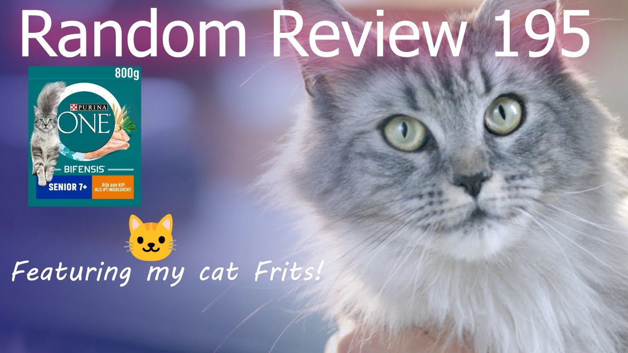 Purina ONE Cat Food - Fine Dining Meows? - Random Review 195