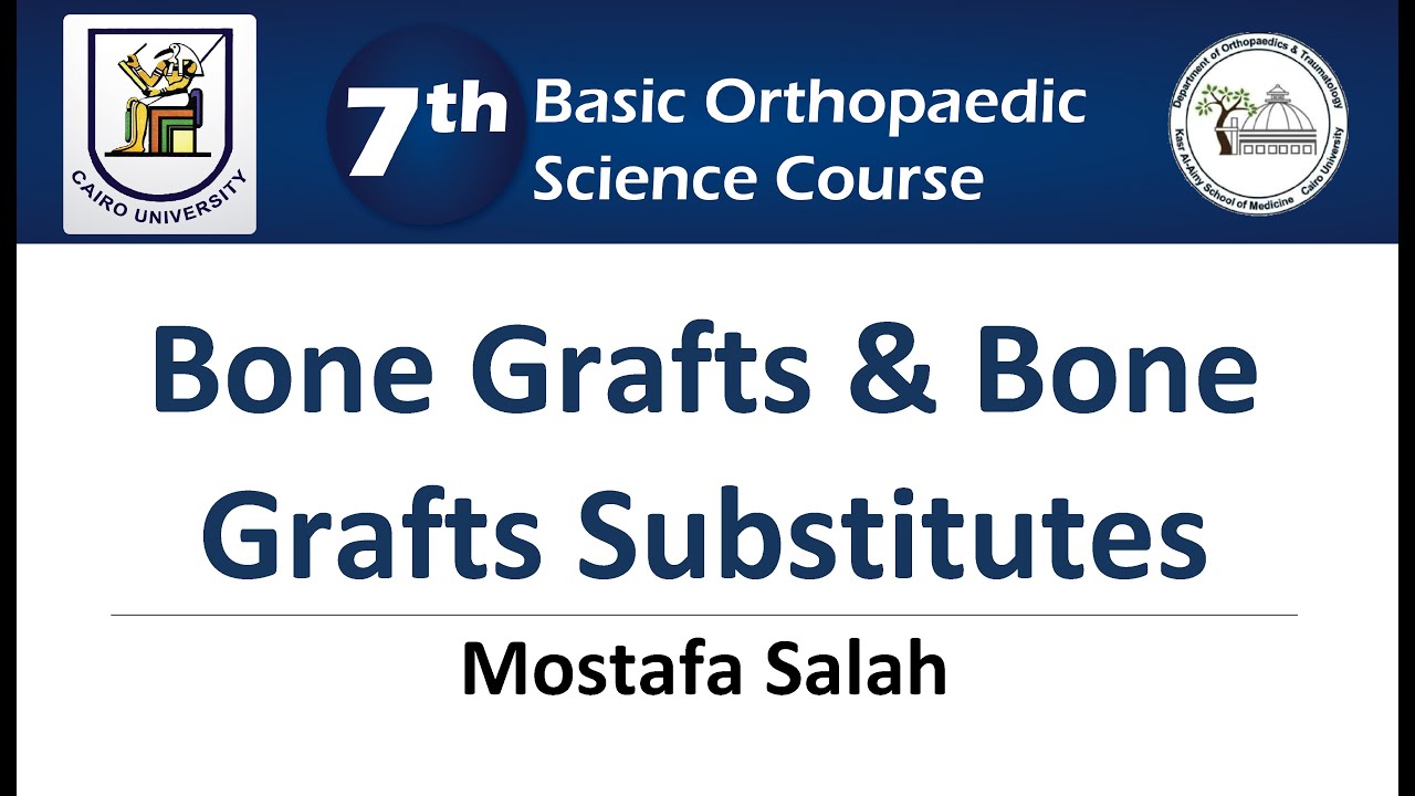 Bone Grafts & Bone Grafts Substitutes