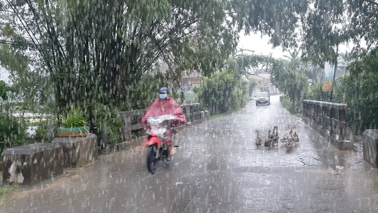 Heavy rain hits a village in the mountains of Vietnam. Walking in the rain