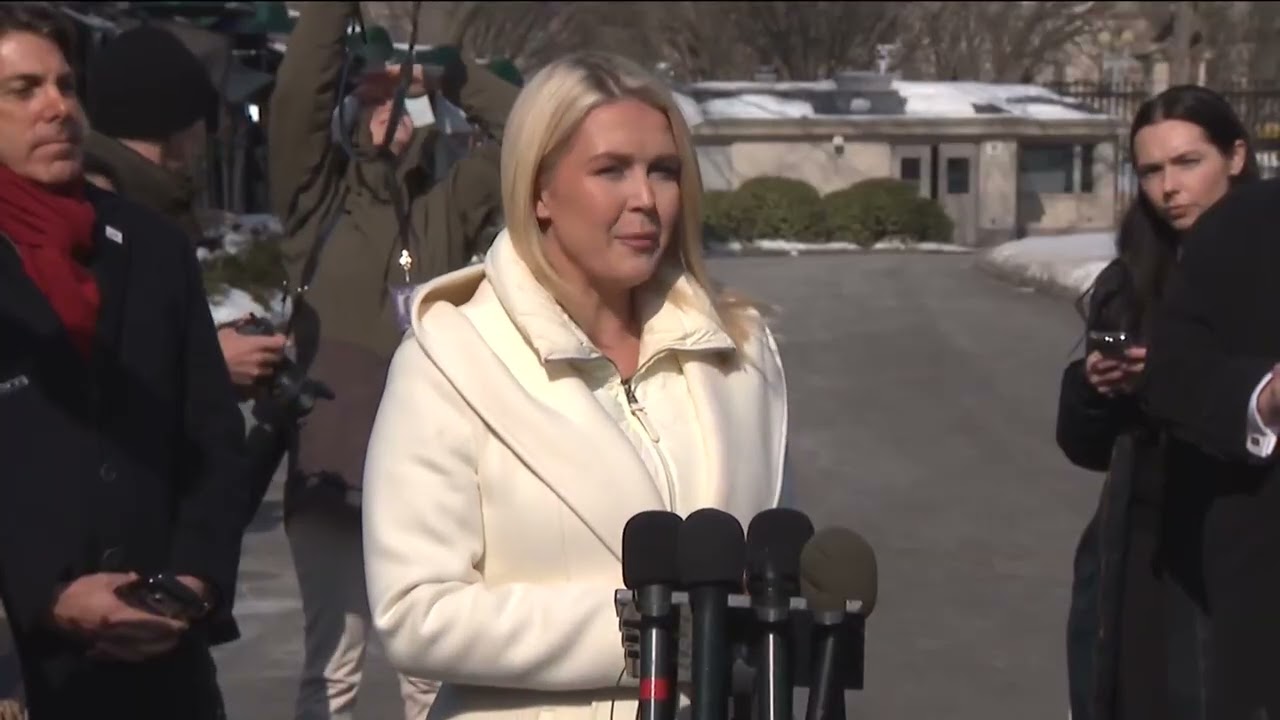 Каролина Ливитт комментирует заявления Трампа о национализации выборов.