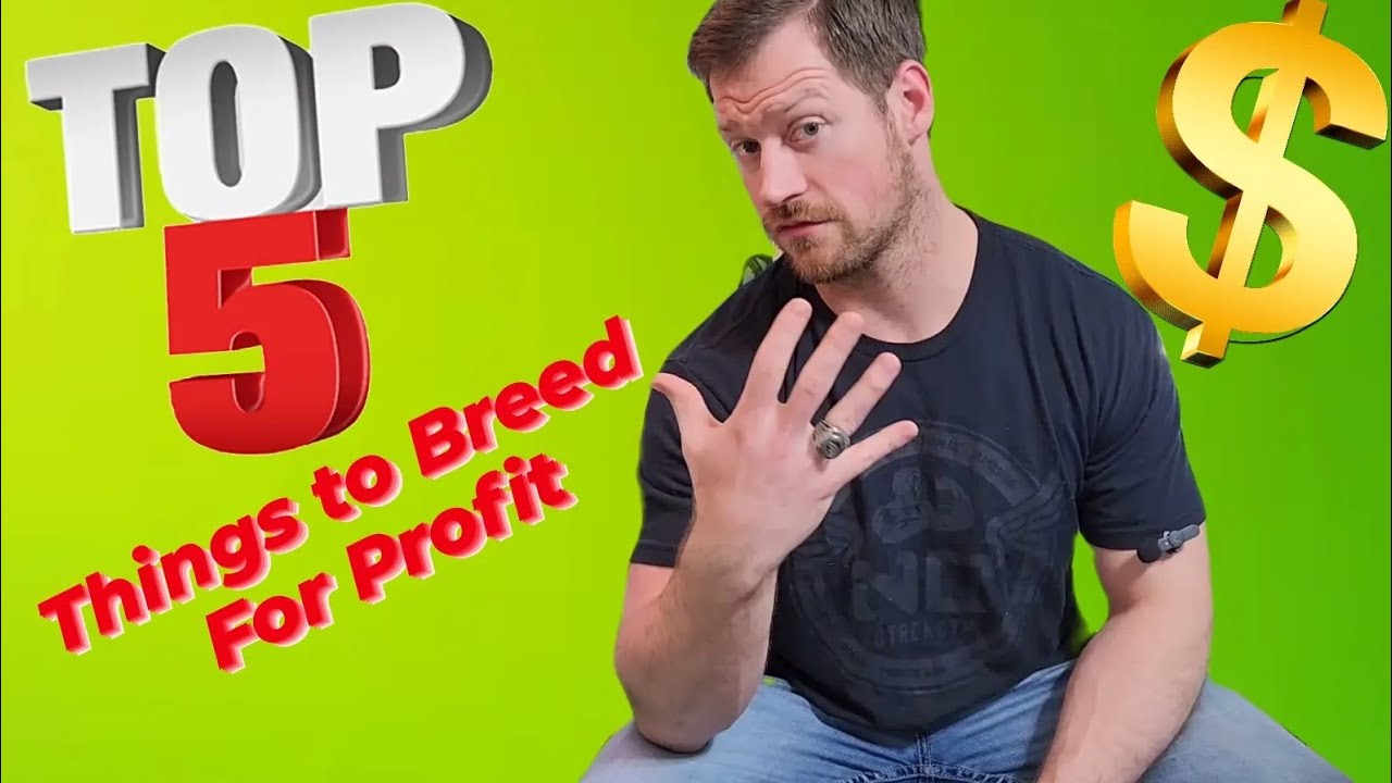 Top 5 Fish to Breed For Profit (part 1)