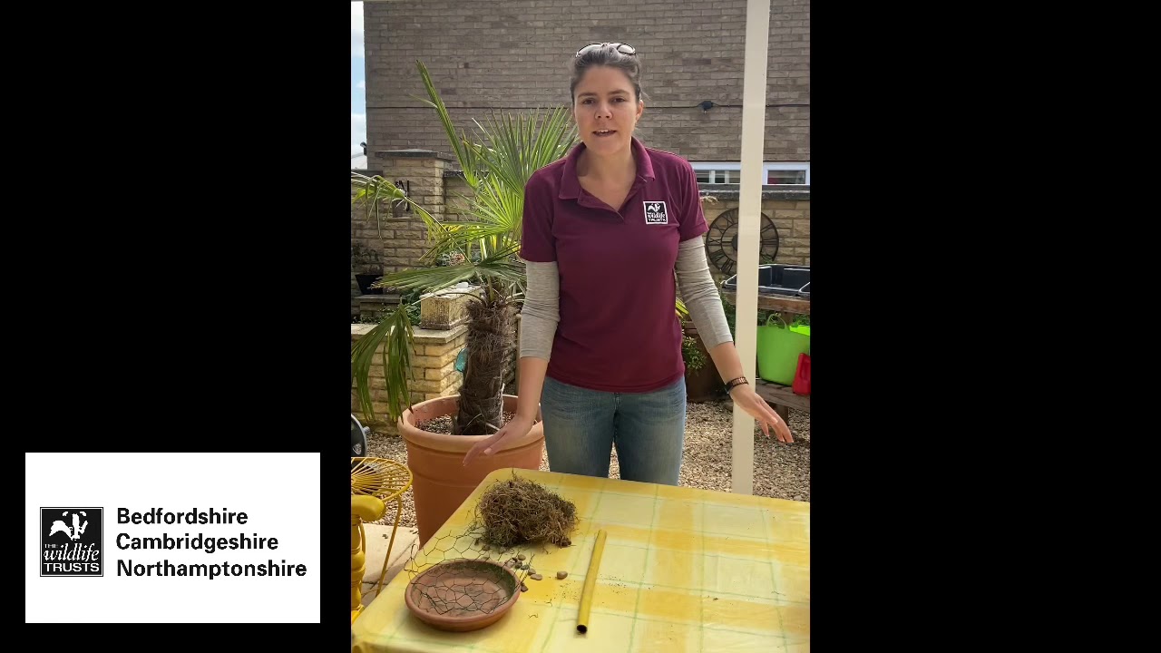 How to make a nest box for bumblebees