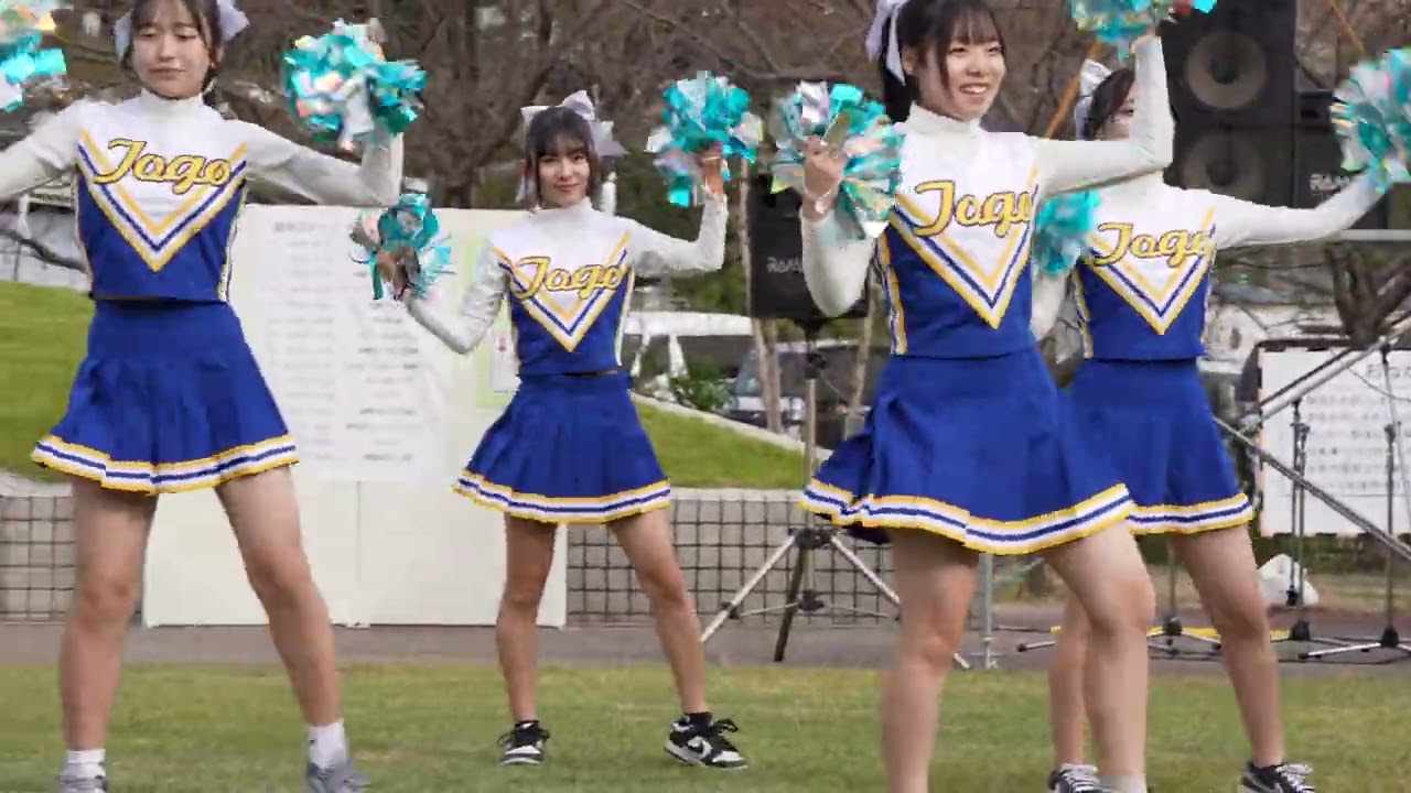 東郷高校 ダンス部 チアダンス 2024.11.10