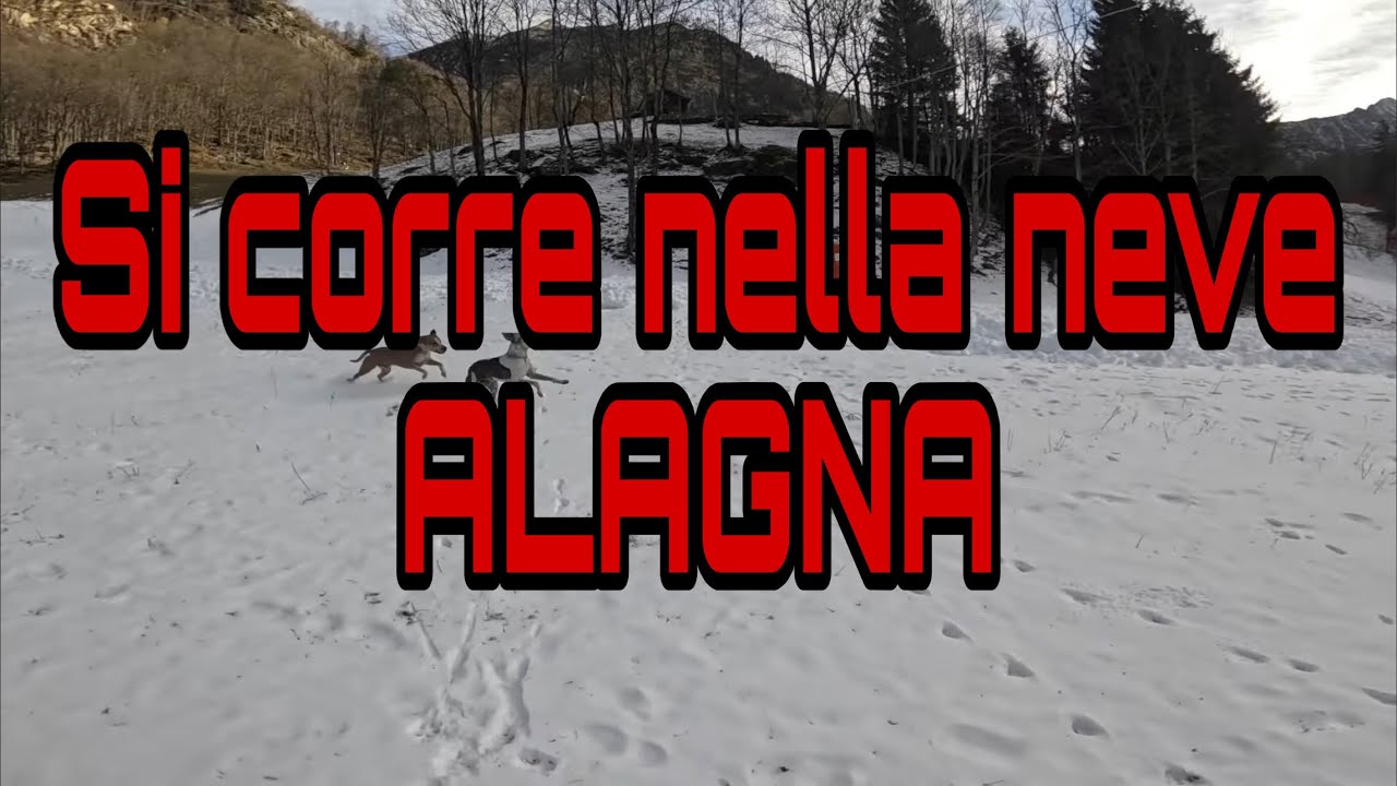 parcheggi in libera in valsesia