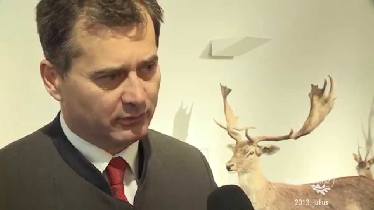 2013. j&uacute;lius 21-i ad&aacute;s: K&ouml;zj&oacute;l&eacute;ti c&eacute;lok a VERGA Zrt.-n&eacute;l