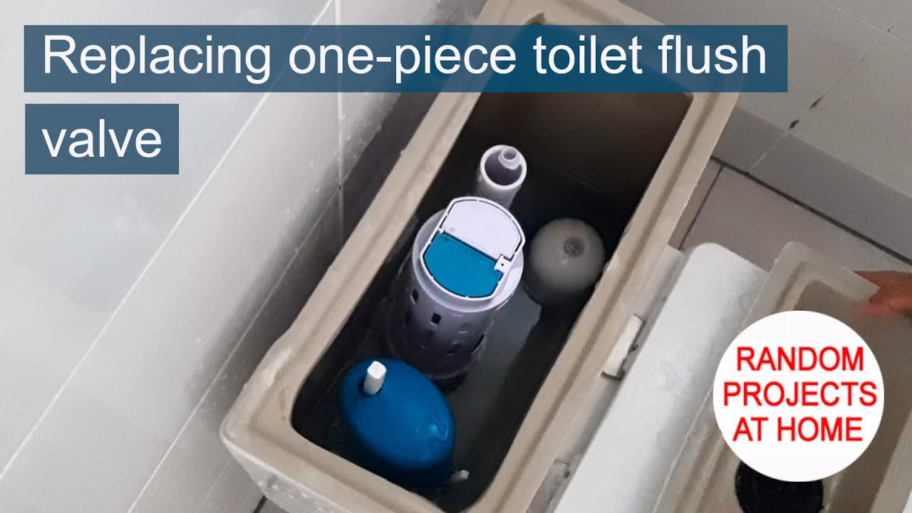 Project: Replacing one-piece toilet flush valve