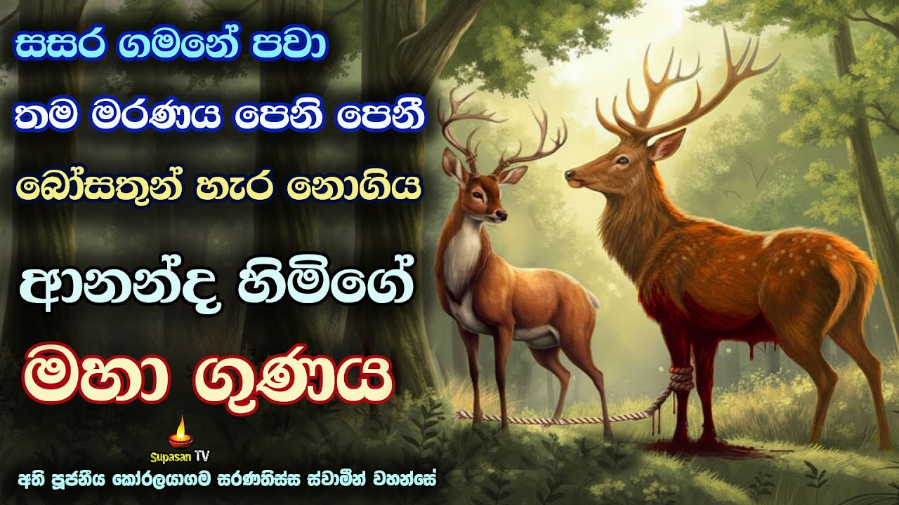 සසර පුරා තිරිසන් භවයේ පවා ආනන්ද හිමිගේ ගුණ කඳ | Rohantha Miga Jathaka