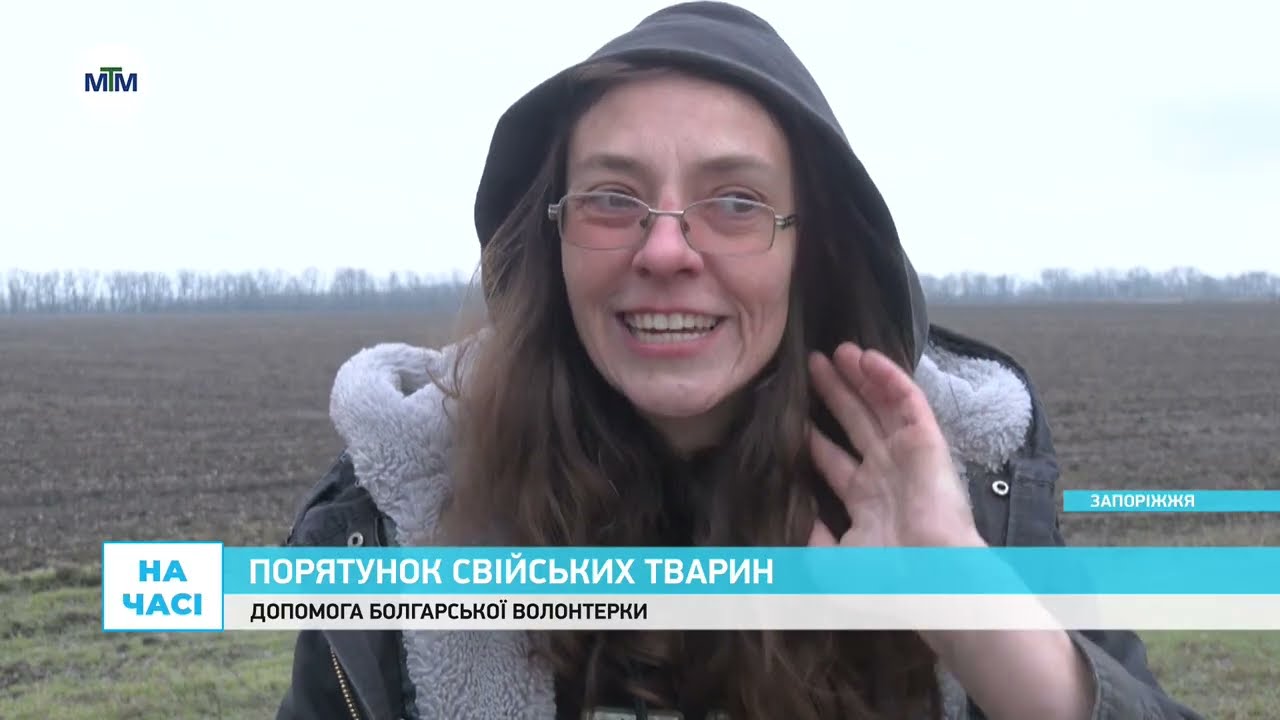 Волонтерка з Болгарії перевезла 40 кіз з Оріхова до приватного притулку. Новини Запоріжжя