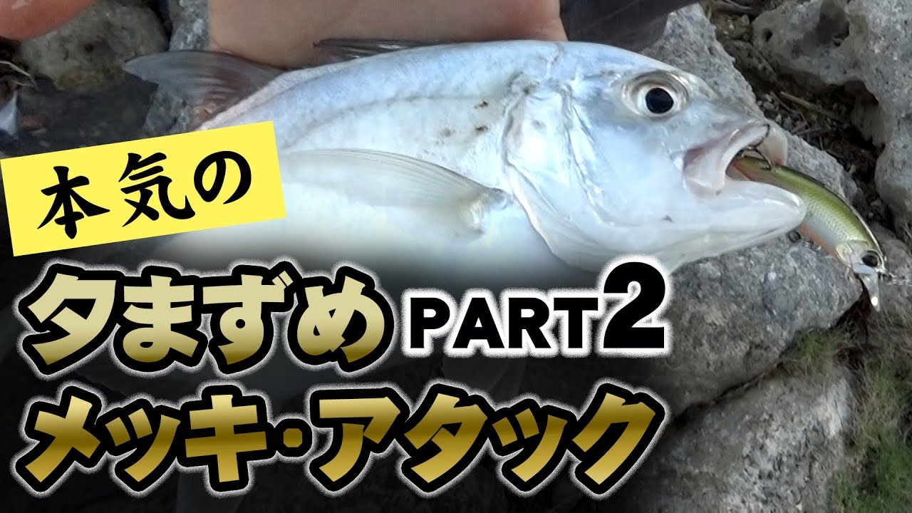 本気の夕まずめ・メッキ・アタック!！【PART2】