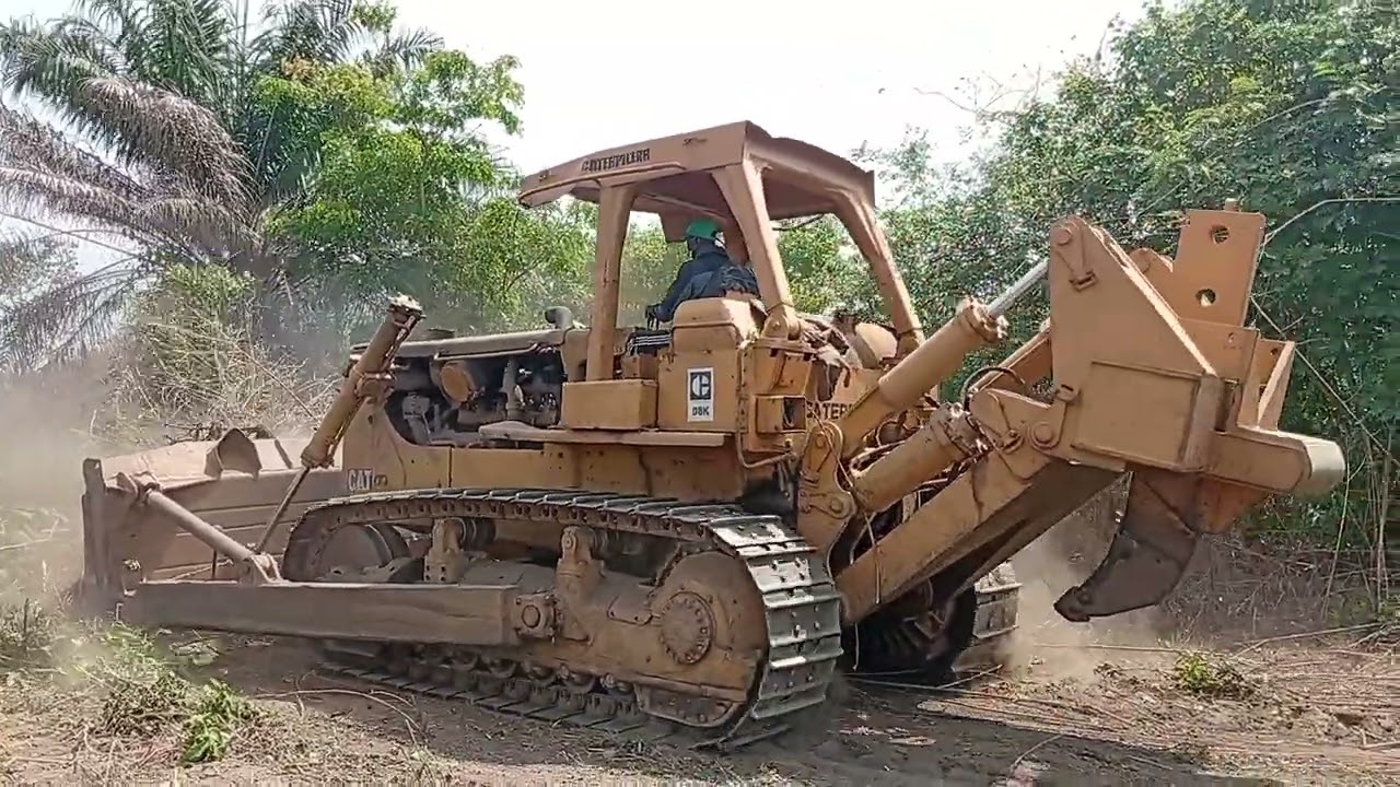 Opening New Farmland with D8K Bulldozer | Land Clearing Operation