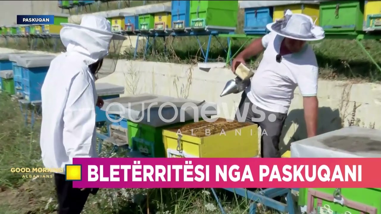 A përdorin sheqer bletërritësit? Ja si përgjigjet i zoti i koshereve nga Paskuqani…