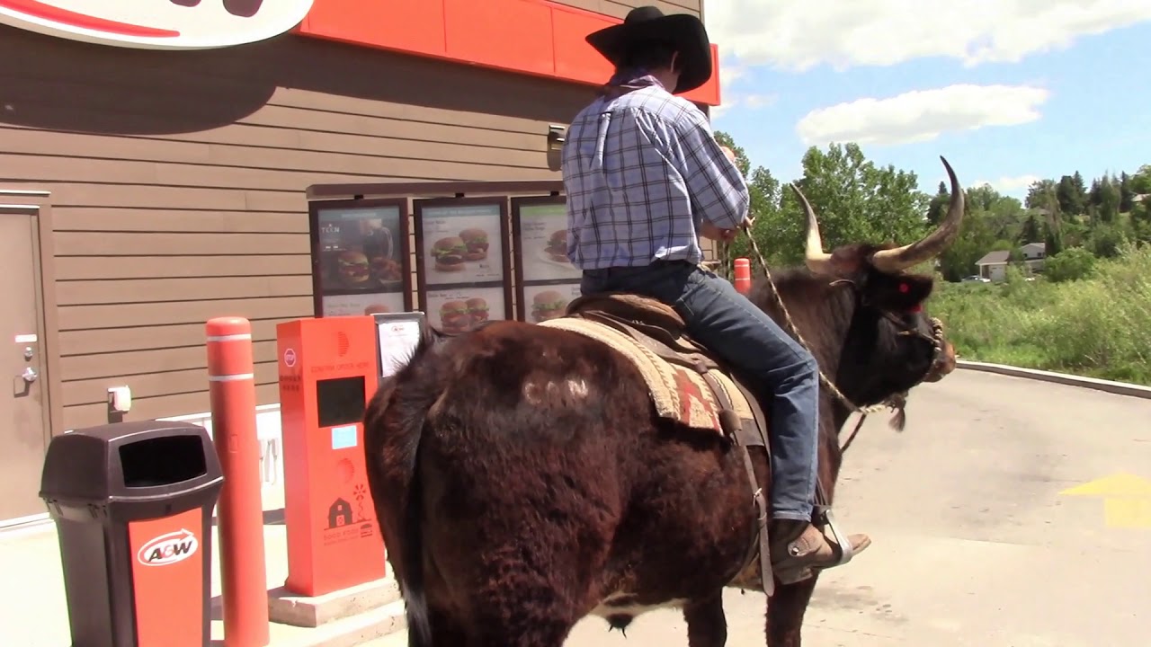 Проезжаю на TEXAS LONGHORN через автокафе!!