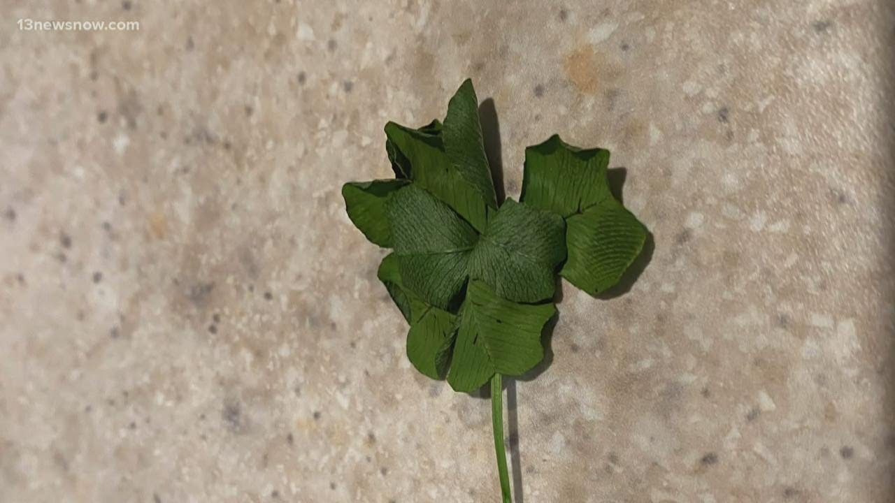 Virginia Beach twins find lucky seven-leaf clover