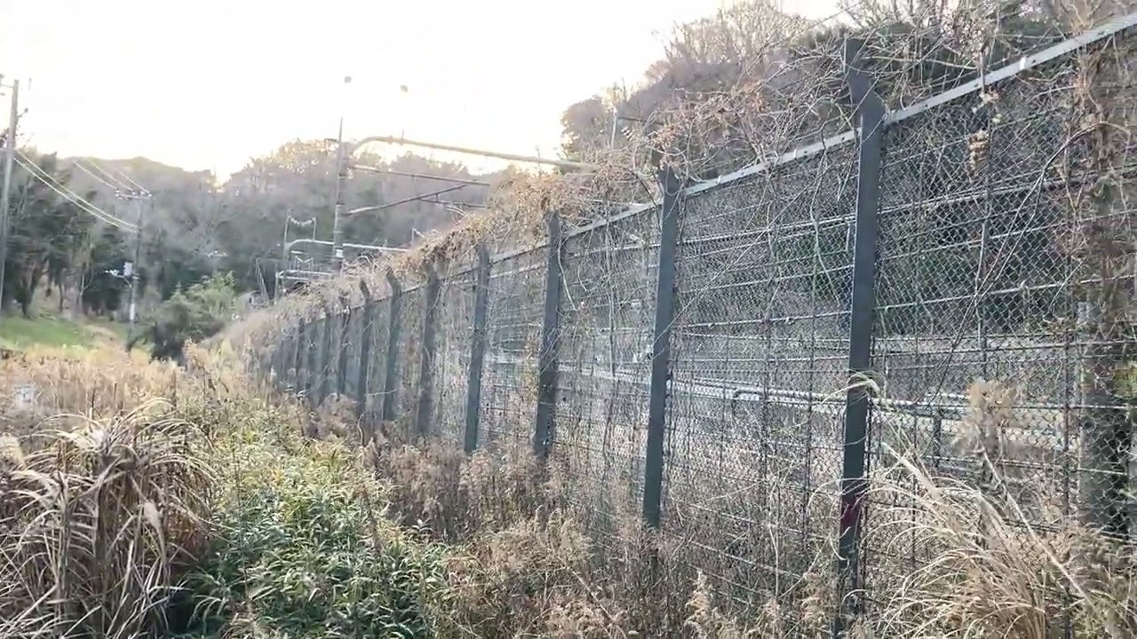 20260221六社巡り６③新幹線