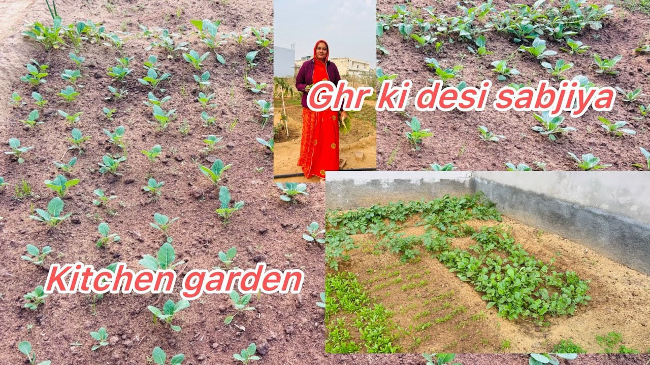 Ghr ke garden se todi sabjiya 🥬🥦