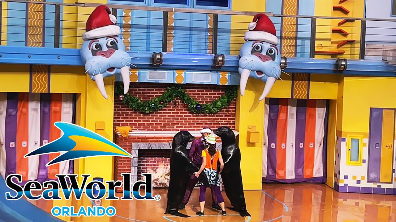 Sea Lion High: The Christmas Special 2020 | SeaWorld Orlando