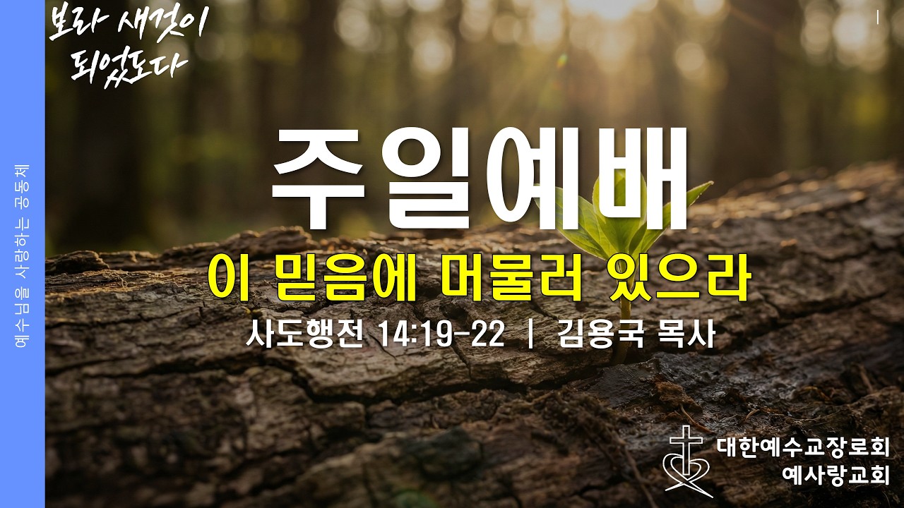 [주일예배] 이 믿음에 머물러 있으라 (행 14:19-22)
