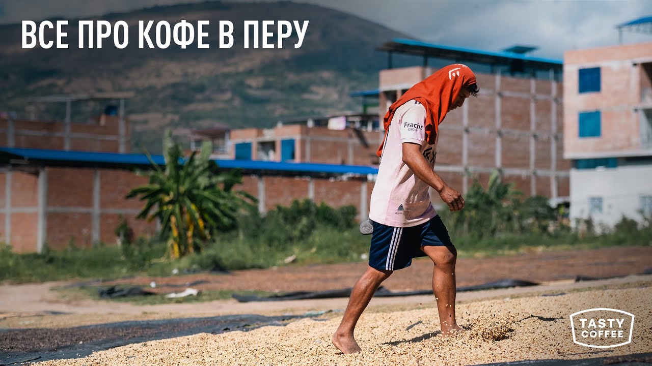 Как мы выбираем кофе свежего урожая в Перу.