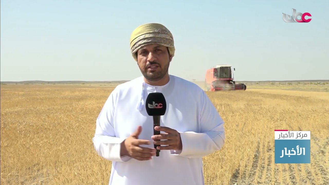 تقرير |  بدء حصاد محصول القمح لعام 2025م في محافظة الظاهرة.