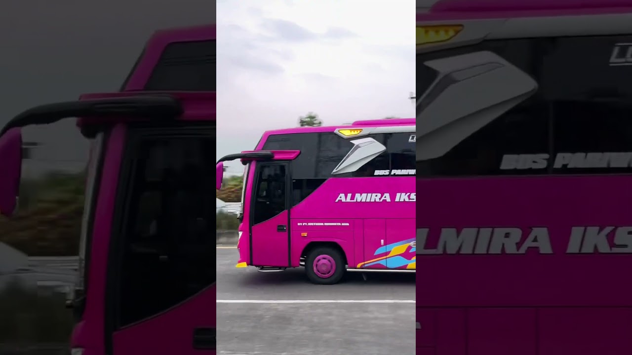 Bus Almira iksani