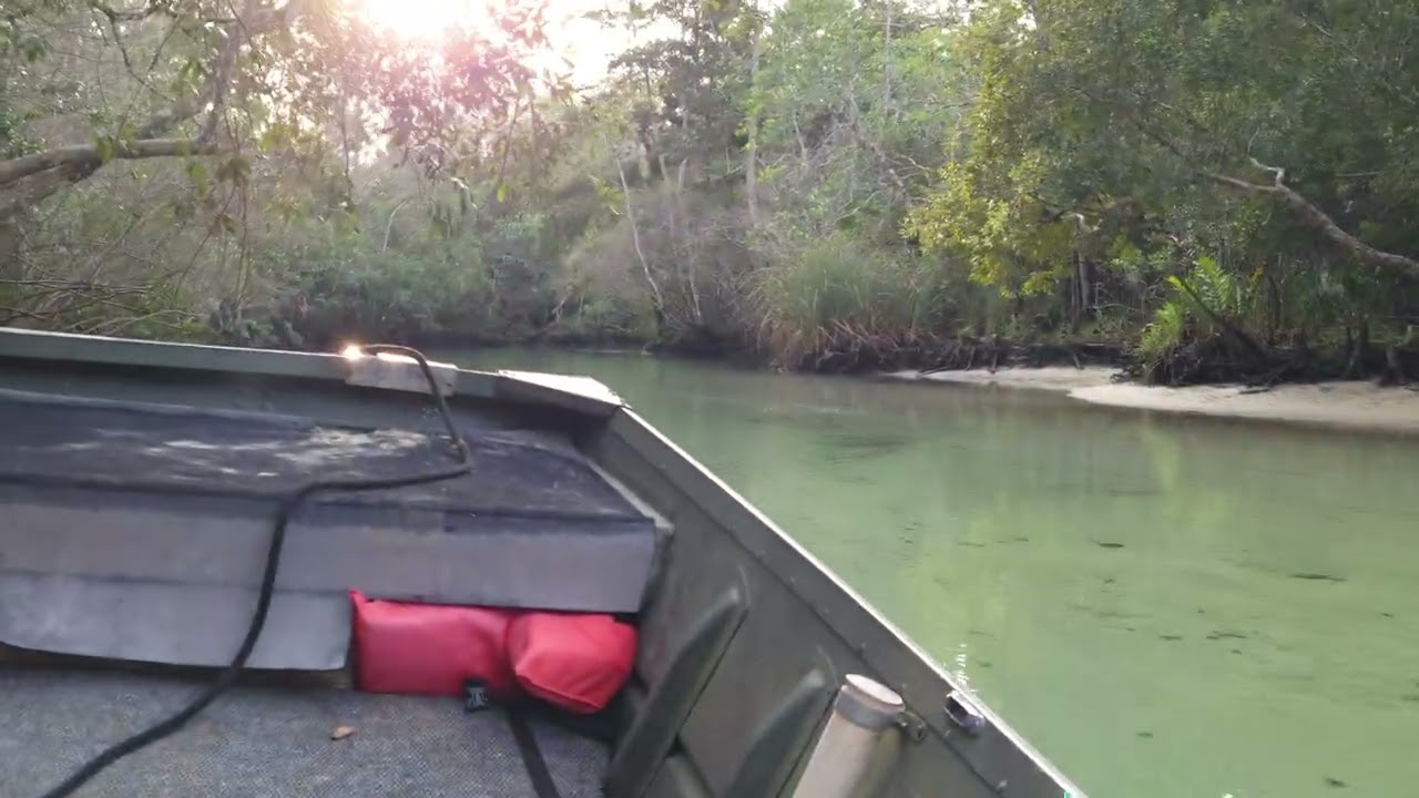 Weeki Wachee 1-11-26 730p