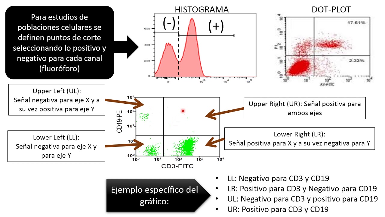 DH: Inmunofenotipo en el diagnostico de neoplasias hematológicas