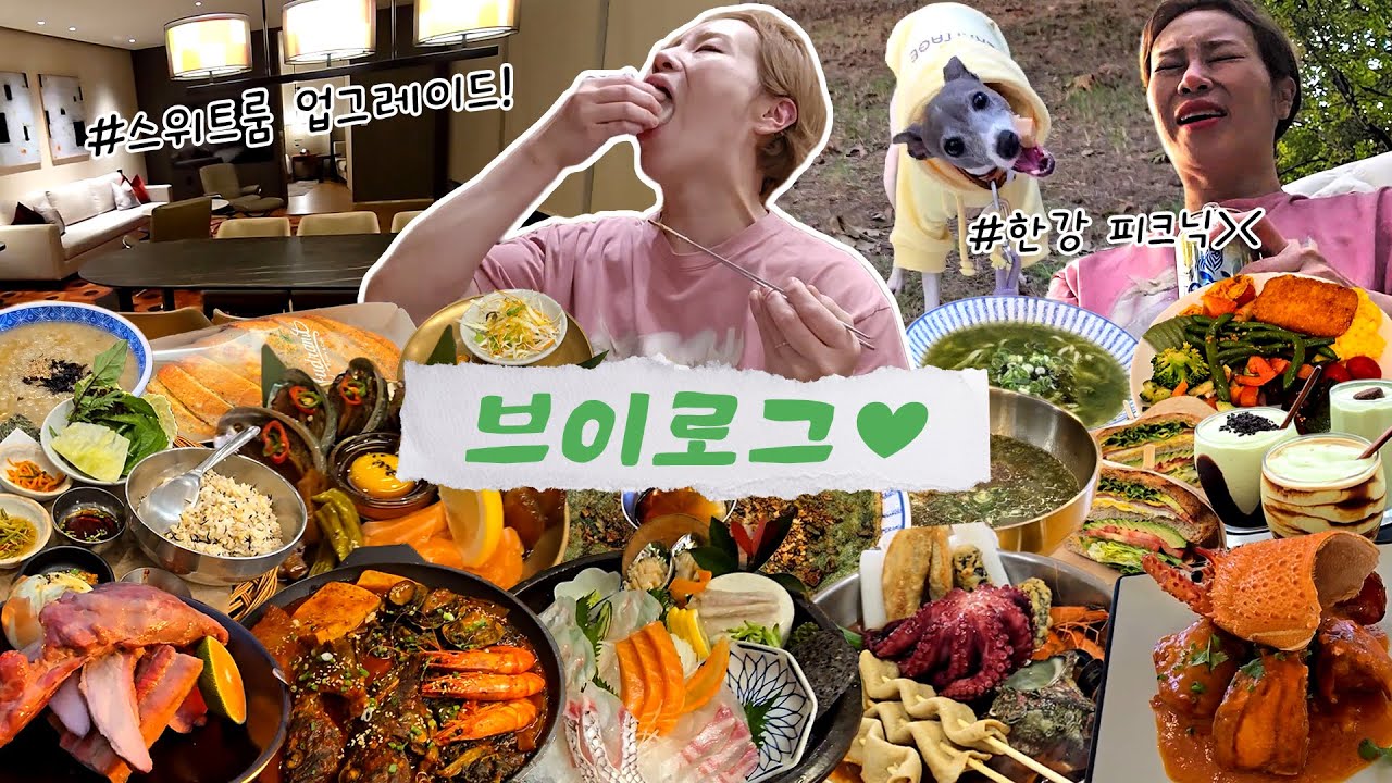 겨울 오기 전 한강 피크닉! 텐트 치기 도전..!😆 입이 떡 벌어진  제주 그랜드 하얏트 스위트룸&놀멍쉬멍 하고 온 제주 여행 브이로그🎬241117