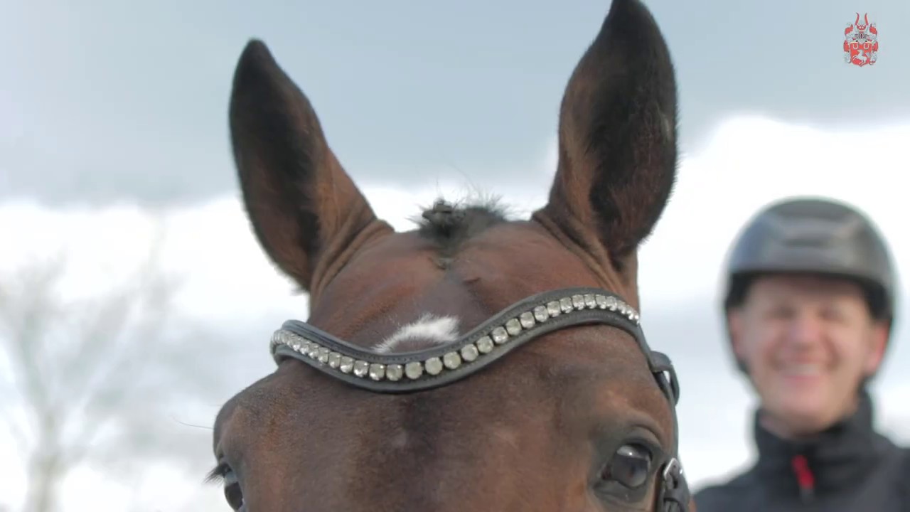 Foundation (Fidermark x De Vito)